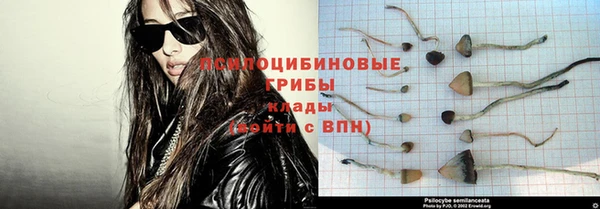 тгк Беломорск